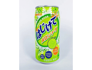 SANGARIA MELON SODA Напиток газированный содовый дыня, банка 250 гр — фото 1